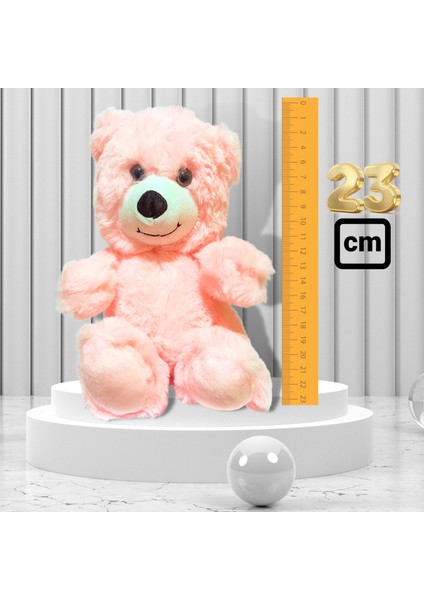 Rose Melek Kolye - Solmayan Gül - Peluş Ayı Hediye Set PS2907