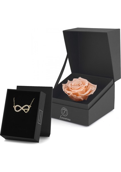 Sonsuzluk Kolye &amp; Rose Solmayan Gül Hediye Set PS2759