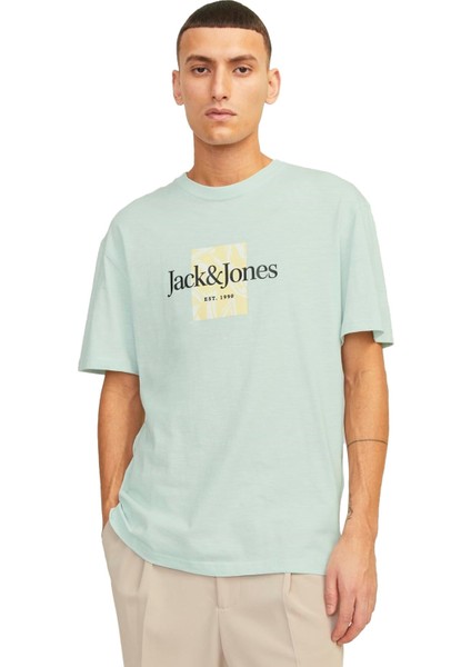 Erkek Tişört 12250436 12250436004