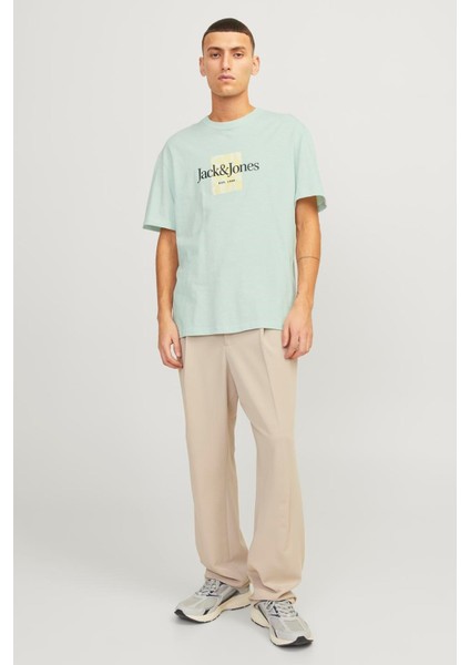 Erkek Tişört 12250436 12250436004 fiyatları