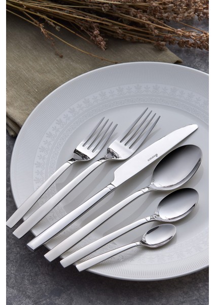 Tekno Trust Gümüş Juniper 84 Parça 12 Kişilik Elegance Kutulu Çatal Kaşık Bıçak Takımı Paslanmaz Çelik 12 Kişil
