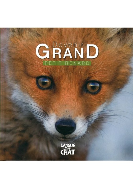 Devenir Grand Petit Renard - Julie Lardon