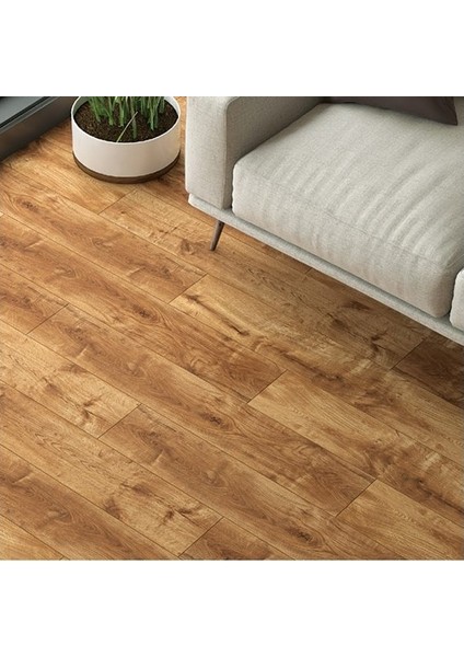 Natura Line Laminat Parke 4V Derzli 8 mm Rodos + 6 cm Süpürgelik + 3 mm Kapron Takım