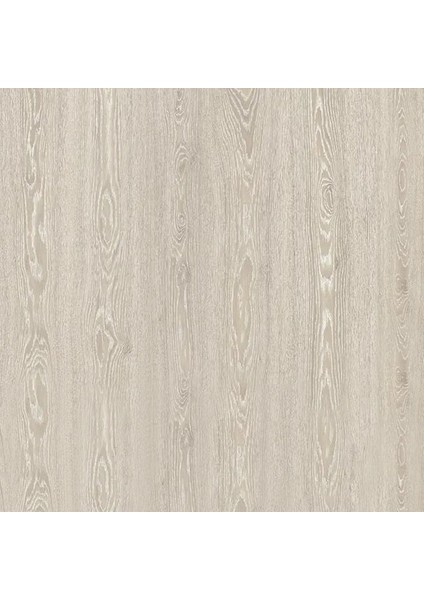 Natura Select Laminat Parke 8 mm Beyaz Meşe + 6 cm Süpürgelik + 3 mm Kapron Takım