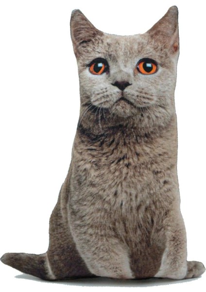 3D Dijital Baskılı Kedi Yastık Duman Kedi