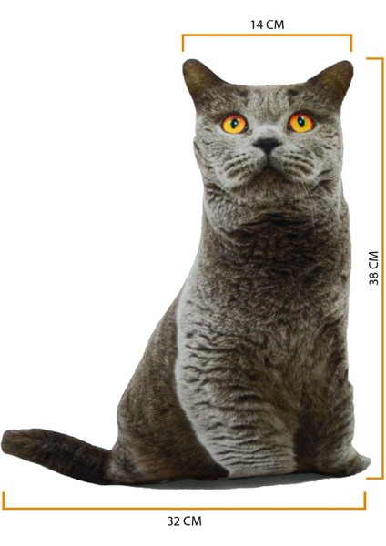 3D Dijital Baskılı Kedi Yastık British Shorthair Kedi
