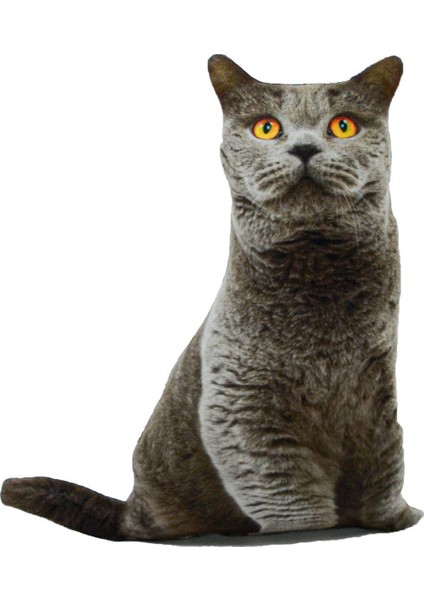 3D Dijital Baskılı Kedi Yastık British Shorthair Kedi fiyatları