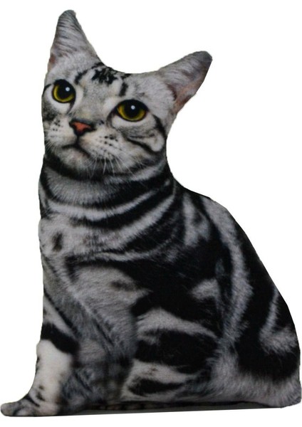 3D Dijital Baskılı Kedi Yastık American Shorthair Kedi