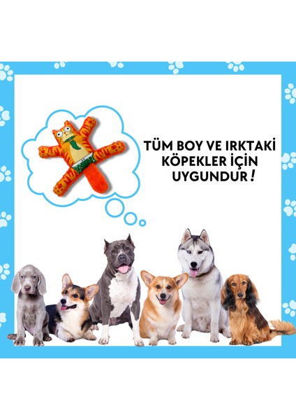 Mihav Sesli Köpek Oyuncağı | Vikvik ve Hışırtılı Turuncu Kedi Şekilli Aktivite Oyuncağı