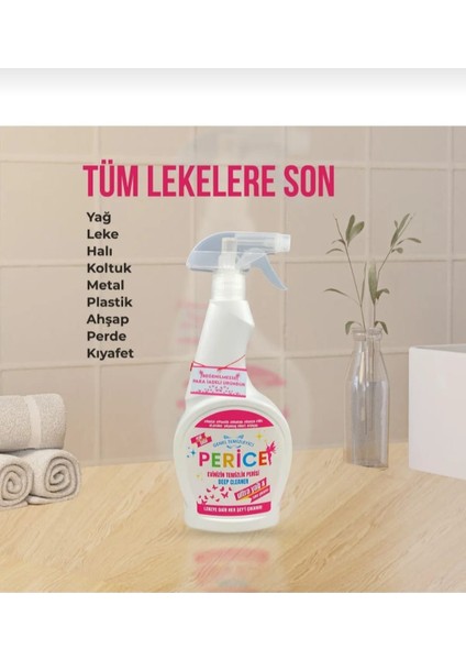 Genel Temizleyici