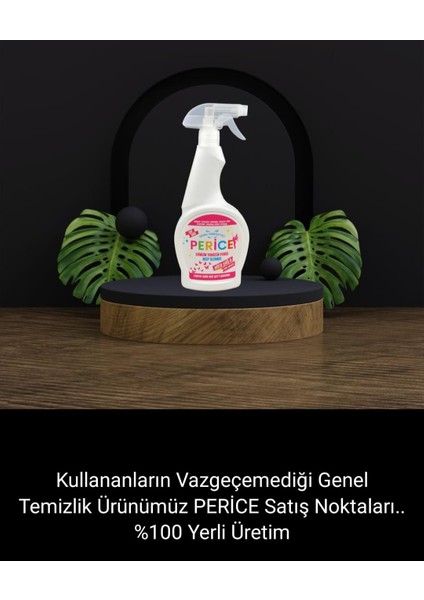 Genel Temizleyici