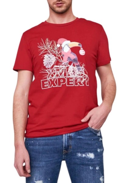 Erkek T-Shırt 12198774-SAGE