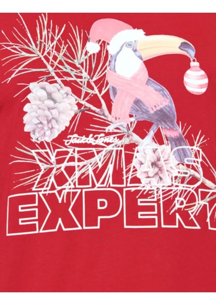 Erkek T-Shırt 12198774-SAGE modelleri