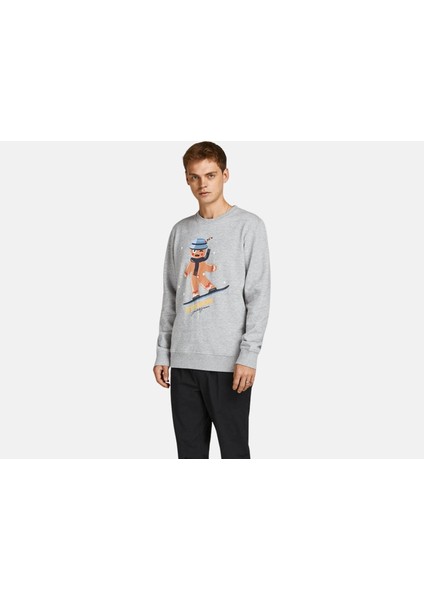 Erkek Sweatshırt 12198379-MELA modelleri