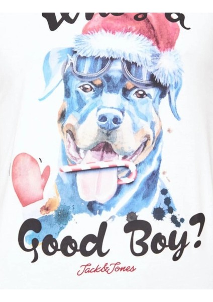 Erkek T-Shırt 12198774-DANCER modelleri