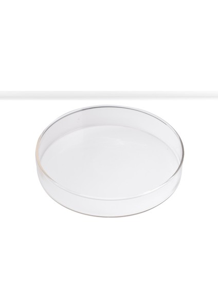 Petri Kutusu 100 mm Cam