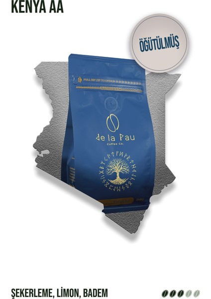 Combo Tanışma Paketi 250 gr 4 Lü Set