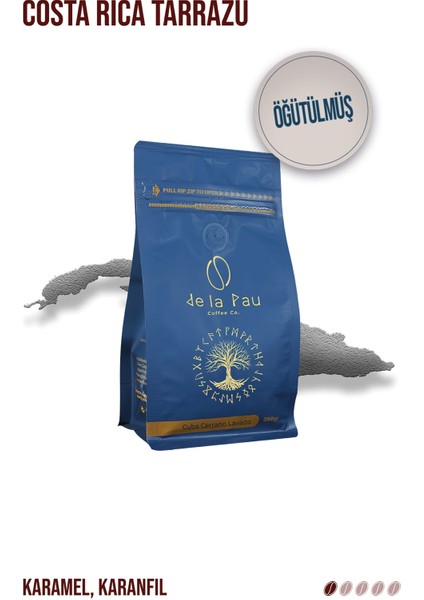 Combo Tanışma Paketi 250 gr 4 Lü Set