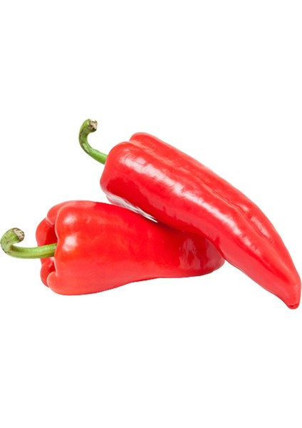 Kapya Biber 500 G