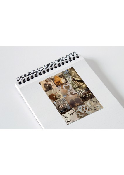 Kahverengi Aesthetic Çoklu Sticker Seti Planner Ajanda Bullet Journal Için Uygun Set