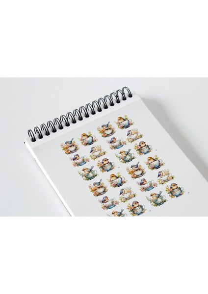 Kuş Temalı Çoklu Sticker Seti Planner Ajanda Bullet Journal Için Uygun Set fiyatları