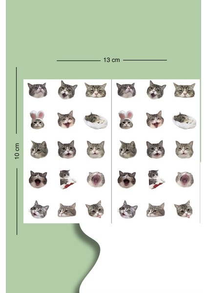 75 Adet Kedi Sticker -3 Sayfa Sticker Set Planner Ajanda Bullet Journal Için Uygun Set