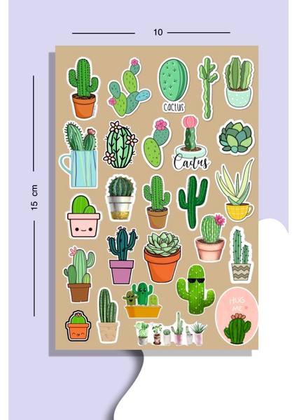 Sevimli Kaktüs Set Sticker