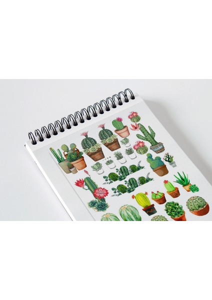 Kaktüs Sticker Seti Planner Ajanda Bullet Journal Için Uygun Set