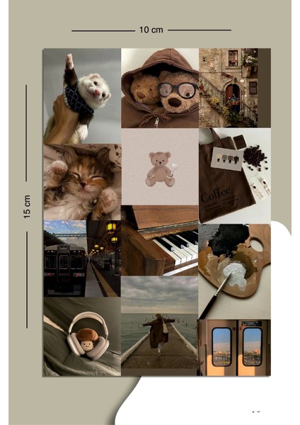 Kahverengi Temalı Sevimli Sticker Seti Planner Ajanda Bullet Journal Için Uygun Set