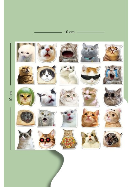 Minik Kedi Sticker Seti Planner Ajanda Bullet Journal Için Uygun Set