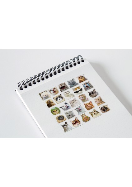 Minik Kedi Sticker Seti Planner Ajanda Bullet Journal Için Uygun Set fiyatları