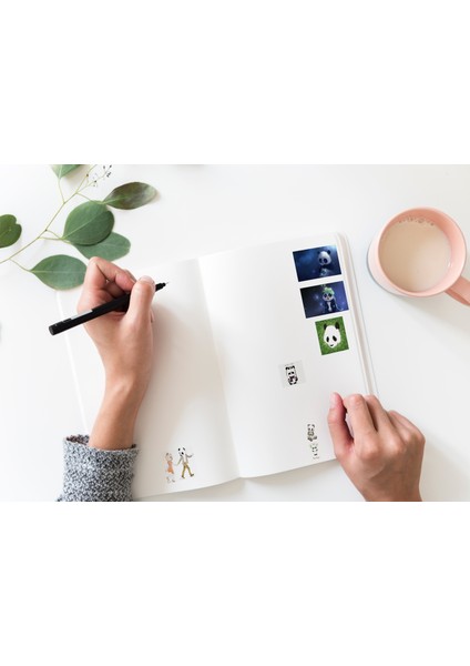 Sevimli Panda Sticker Seti Planner Ajanda Bullet Journal Için Uygun Set fiyatları