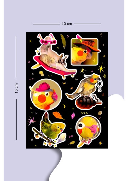 Sevimli Papağan Sticker Seti Planner Ajanda Bullet Journal Için Uygun Set