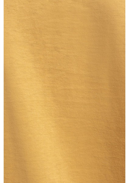 Regular Fit Kadın Tshirt Lf2033151 Lf2033151006 indirimleri