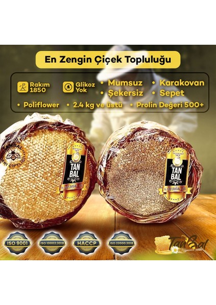 Tanbal Arı Çiftliği Mumsuz Şekersiz Sepet Bal Daha Orjinali Yok 2kg-2.5 ve üstü