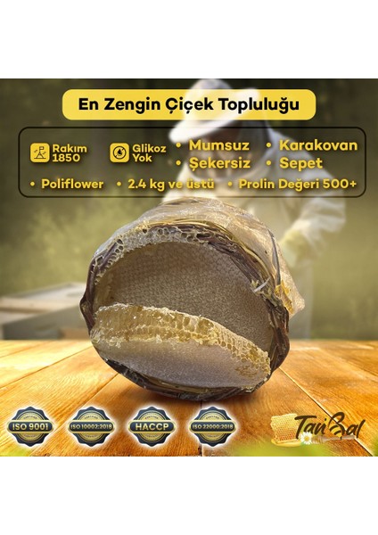 Tanbal Arı Çiftliği Mumsuz Şekersiz Sepet Bal Daha Orjinali Yok 2kg-2.5 ve üstü