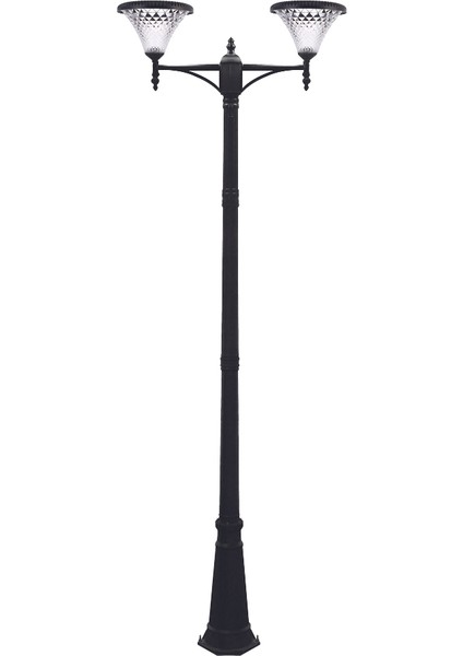 2x100W Güneş Enerjili Solar Bahçe Armatür 300CM Direkli