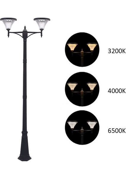 2x100W Güneş Enerjili Solar Bahçe Armatür 300CM Direkli