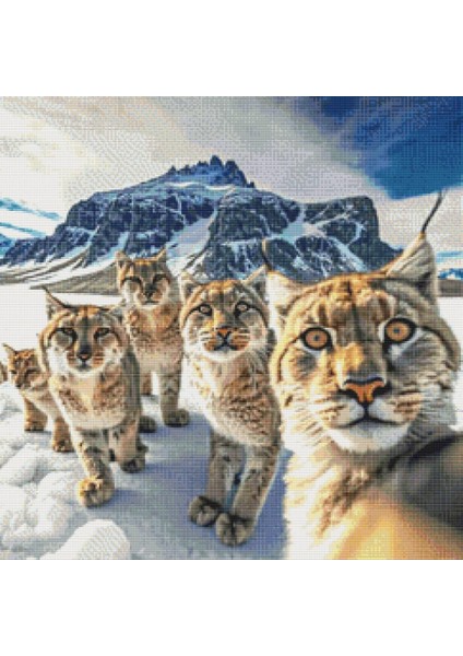 Lynx Sürüsü | Elmas Mozaik Tablo | Mozaik Puzzle | 60x60 | E20204269