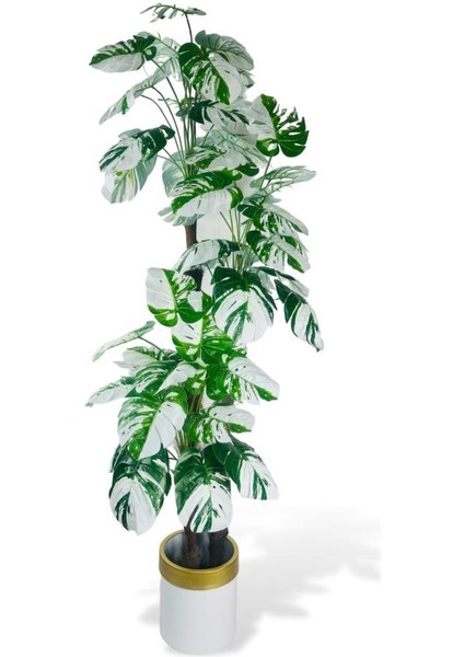 Yapay Çiçek Monstera Yeşil Beyaz Deve Tabanı 3katlı 180CM 54YAPRAK Altın Kemerli Beyaz Metal Saksı