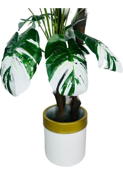 Yapay Çiçek Monstera Yeşil Beyaz Deve Tabanı 3katlı 180CM 54YAPRAK Altın Kemerli Beyaz Metal Saksı indirimleri