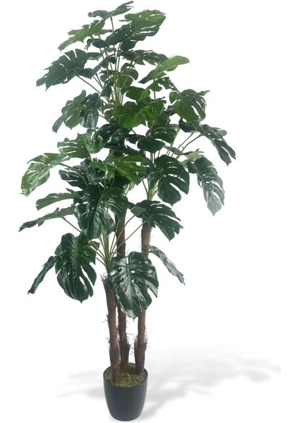 Yapay Çiçek Monstera Yeşil Deve Tabanı 3katlı 135CM 54YAPRAK Siyah Plastik Saksıda Yapay Bitki
