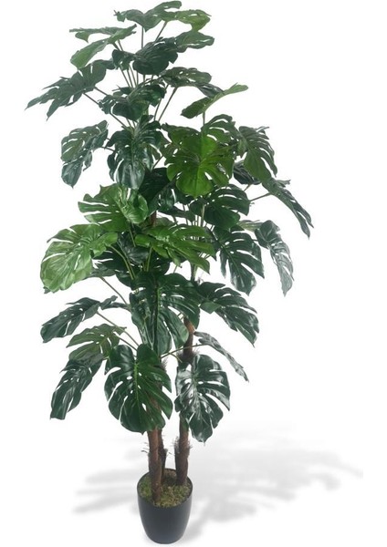 Yapay Çiçek Monstera Yeşil Deve Tabanı 3katlı 135CM 54YAPRAK Siyah Plastik Saksıda Yapay Bitki