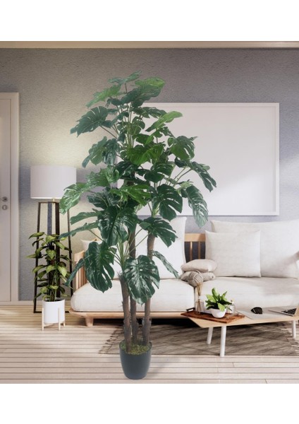 Yapay Çiçek Monstera Yeşil Deve Tabanı 3katlı 135CM 54YAPRAK Siyah Plastik Saksıda Yapay Bitki