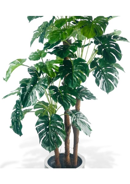 Yapay Çiçek Monstera Yeşil Deve Tabanı 3katlı 135CM 54YAPRAK Gümüş Kemerli Siyah Saksıda Yapay Bitki