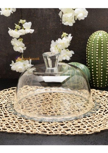 Tekno Trust 26 Patisserie Kek Fanusu 96874 FMA99946 Beyaz Modern Cam Yuvarlak 2 Parça Sunum Tabağı Bpa Free