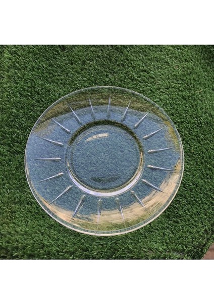 Tekno Trust 6+ Elysia Çay Tabağı 12 Li Bpa Free Çay Tabağı Kahverengi Porselen 12 x 12 Yuvarlak Modern fiyatları