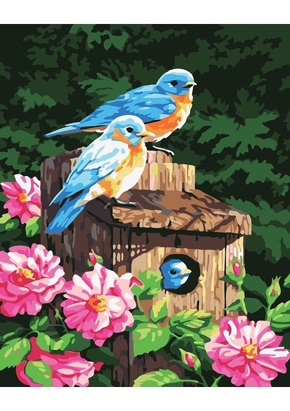 Pastel Çizim Kuşlar | Elmas Mozaik Tablo | Mozaik Puzzle | 50x60 | E20234097