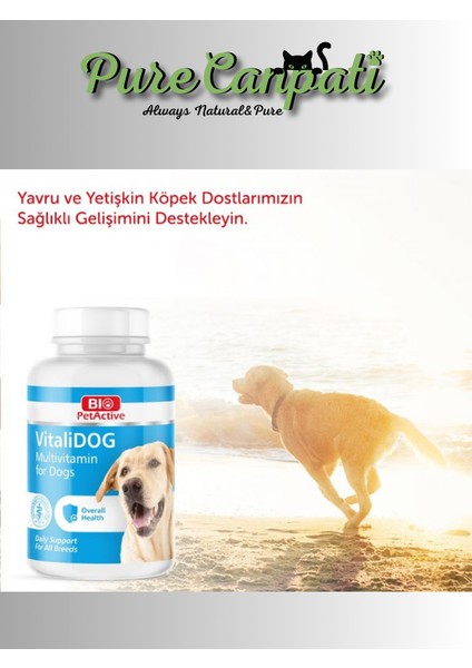 Purecanpati Köpek Multivitamin,diş Macunu ve Kulak Bakım Seti