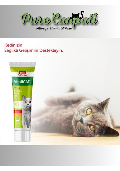 Kedi Dermacat,diş Macunu,multivitamin Seti